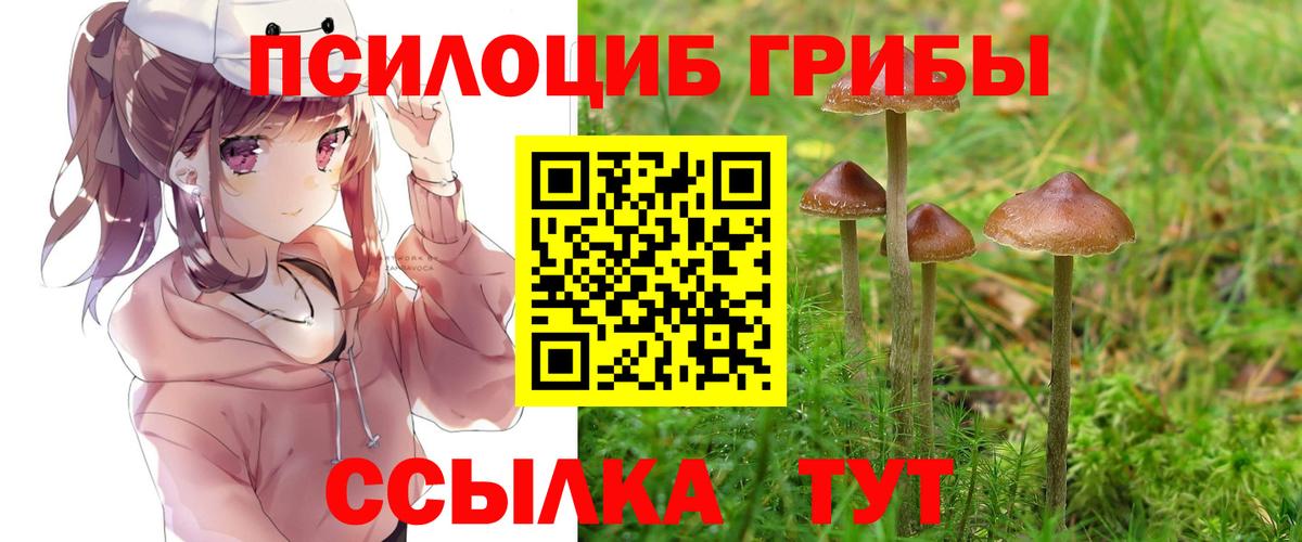 Галлюциногенные грибы Cubensis Елабуга