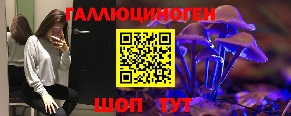 Елабуга  Псилоцибиновые грибы Magic Shrooms  Галлюциногенные грибы Psilocybe  Вход с VPN 